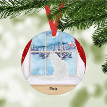 Load image into Gallery viewer, Maine Coon Cat ornament personalized