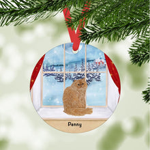 Load image into Gallery viewer, Persian Cat ornament personalized