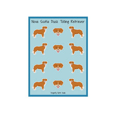 Load image into Gallery viewer, Nova Scotia Duck Tolling Retriever Vinyl Sticker Sheet