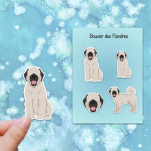 Load image into Gallery viewer, Bouvier des Flandres (natural) Vinyl Sticker Set
