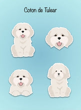 Load image into Gallery viewer, Coton de Tulear Vinyl Sticker Set