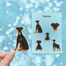 Load image into Gallery viewer, Doberman Pinscher (docked) Vinyl Sticker Set