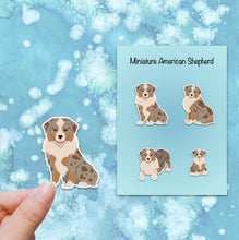 Load image into Gallery viewer, Miniature American Shepherd Vinyl Sticker Set