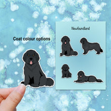 Load image into Gallery viewer, Newfoundland Vinyl Sticker Set