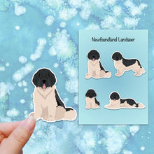 Load image into Gallery viewer, Newfoundland Landseer Vinyl Sticker Set