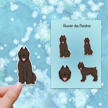 Load image into Gallery viewer, Bouvier des Flandres (cropped and docked) Vinyl Sticker Set