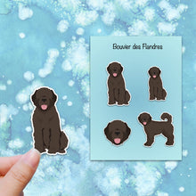 Load image into Gallery viewer, Bouvier des Flandres (natural) Vinyl Sticker Set