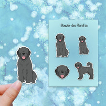 Load image into Gallery viewer, Bouvier des Flandres (natural) Vinyl Sticker Set