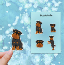 Load image into Gallery viewer, Brussels Griffon Vinyl Sticker Set