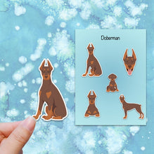 Load image into Gallery viewer, Doberman Pinscher (cropped and docked) Vinyl Sticker Set