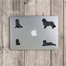 Load image into Gallery viewer, Newfoundland Vinyl Sticker Set