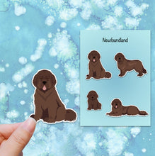Load image into Gallery viewer, Newfoundland Vinyl Sticker Set