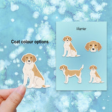 Load image into Gallery viewer, Harrier Vinyl Sticker Set
