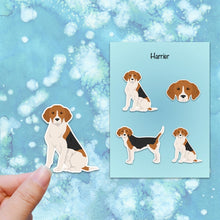 Load image into Gallery viewer, Harrier Vinyl Sticker Set