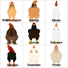 Load image into Gallery viewer, Chicken Breed Christmas Ornament Personalized