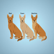 Load image into Gallery viewer, Carolina Dog 11 oz mug personalized