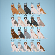 Load image into Gallery viewer, American Pit Bull Terrier (cropped ears) Vinyl Sticker Set