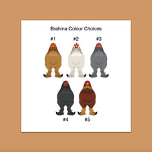 Load image into Gallery viewer, Brahma chicken sticker set - chicken sticker sheets - chicken breed stickers