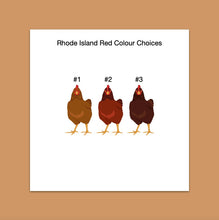 Load image into Gallery viewer, Rhode Island Red chicken sticker set - chicken sticker sheets - chicken breed stickers