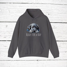 Load image into Gallery viewer, Blue Lacy "Ready for a Nap" Hooded Sweatshirt