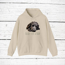 Load image into Gallery viewer, Curly Coated Retriever "Ready for a Nap" Hooded Sweatshirt