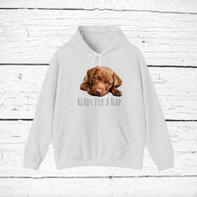 Load image into Gallery viewer, Chesapeake Bay Retriever "Ready for a Nap" Hooded Sweatshirt