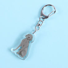 Load image into Gallery viewer, Weimaraner acrylic zipper pull
