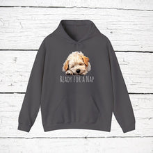 Load image into Gallery viewer, Dandie Dinmont Terrier "Ready for a Nap" Hooded Sweatshirt
