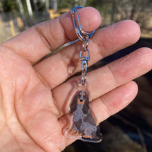 Load image into Gallery viewer, English Cocker Spaniel (blue roan and tan) acrylic zipper pull