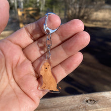 Load image into Gallery viewer, English Cocker Spaniel (fawn) acrylic zipper pull