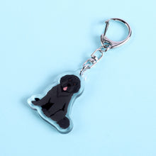 Load image into Gallery viewer, Newfoundland acrylic zipper pull