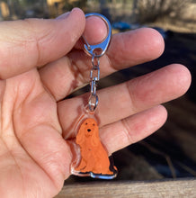 Load image into Gallery viewer, English Cocker Spaniel (red) acrylic zipper pull