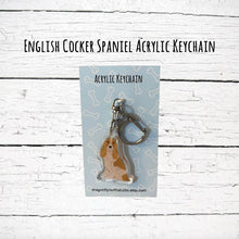 Load image into Gallery viewer, English Cocker Spaniel (fawn and white) acrylic zipper pull