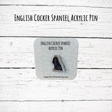Load image into Gallery viewer, English Cocker Spaniel acrylic pin (blue roan and tan)