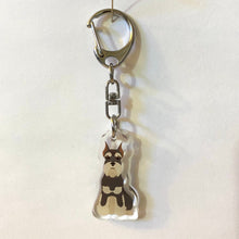 Load image into Gallery viewer, Miniature Schnauzer (cropped ears) acrylic zipper pull