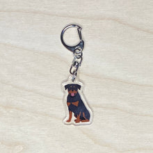 Load image into Gallery viewer, Rottweiler acrylic zipper pull