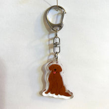 Load image into Gallery viewer, Golden Retriever (#6) acrylic zipper pull