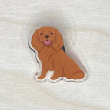 Load image into Gallery viewer, Cavalier King Charles Spaniel acrylic pin