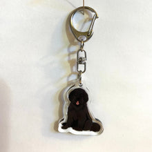 Load image into Gallery viewer, Newfoundland acrylic zipper pull