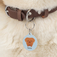 Load image into Gallery viewer, Dogue de Bordeaux ID Pet Tag
