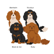 Load image into Gallery viewer, Cavalier King Charles Spaniel Vinyl Sticker Set
