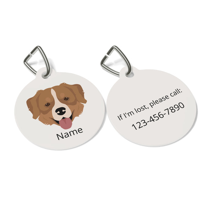 Bernese Mountain Dog/Golden Retriever mix ID Pet Tag