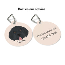 Load image into Gallery viewer, Newfoundland ID Pet Tag
