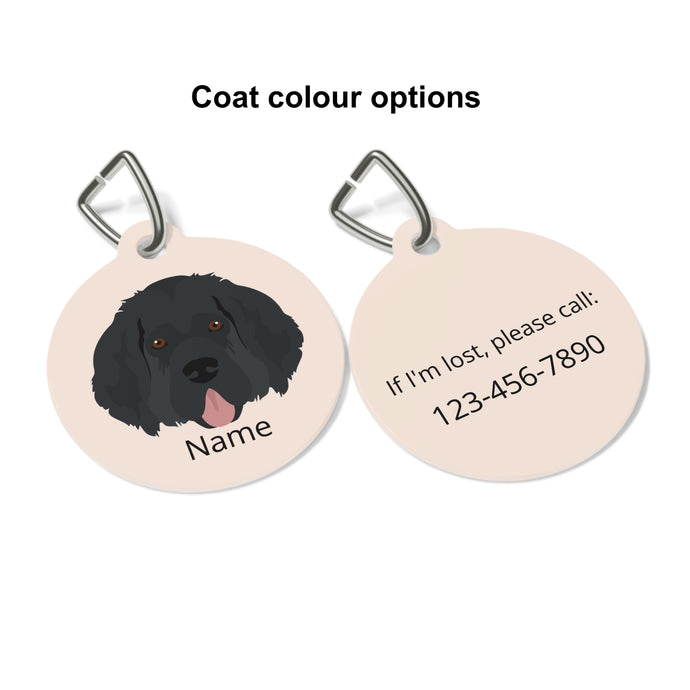 Newfoundland ID Pet Tag