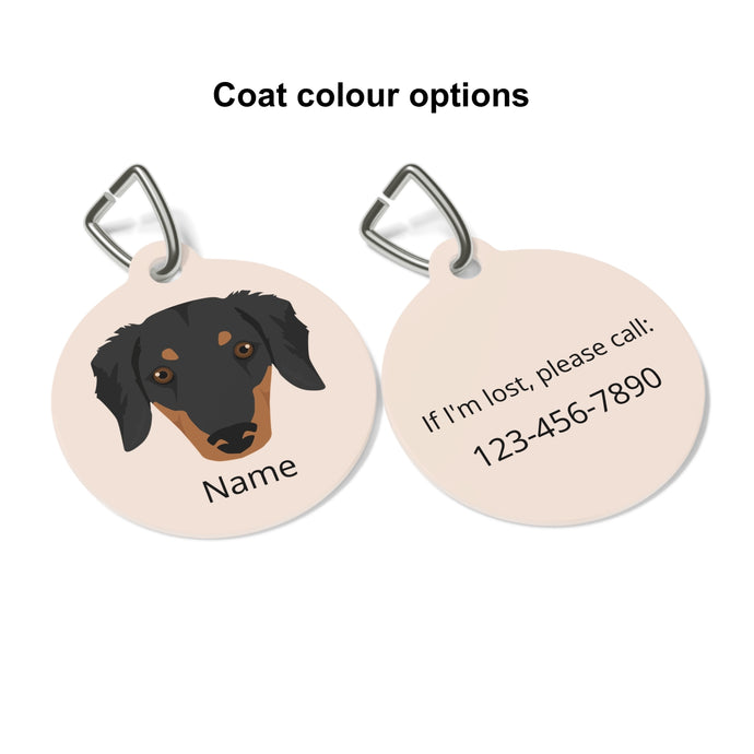Gollie (Golden Retriever/Border Collie mix) ID Pet Tag