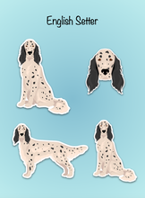 Load image into Gallery viewer, English Setter Vinyl Sticker Set
