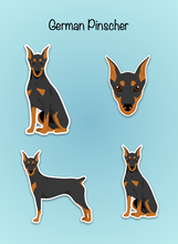 Load image into Gallery viewer, German Pinscher (cropped ears and docked tail) Vinyl Sticker Set
