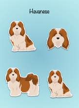 Load image into Gallery viewer, Havanese Vinyl Sticker Set
