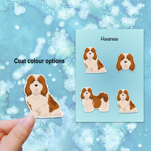 Load image into Gallery viewer, Havanese Vinyl Sticker Set
