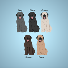 Load image into Gallery viewer, Bouvier des Flandres &#39;My Dog is My Valentine&#39; 100% cotton t-shirt customized
